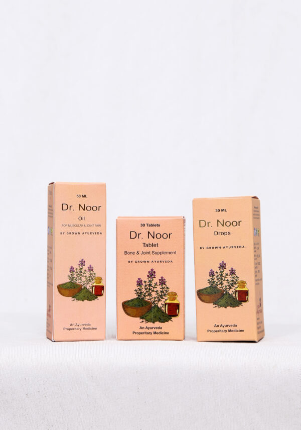Dr. Noor Ayurvedic Joint & Pain Relief Combo - Image 2