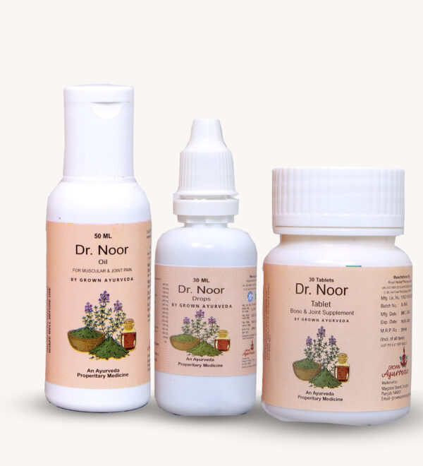 Dr. Noor Ayurvedic Joint & Pain Relief Combo